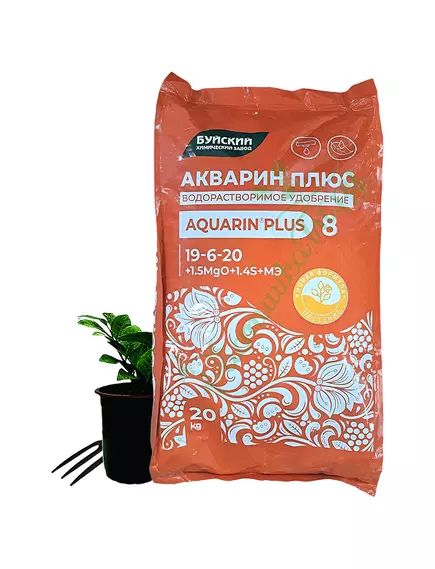 Акварин 8 Плюс
