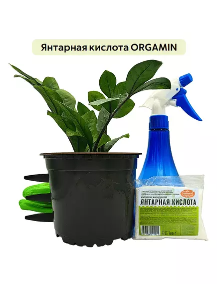 Янтарная кислота ORGAMIN