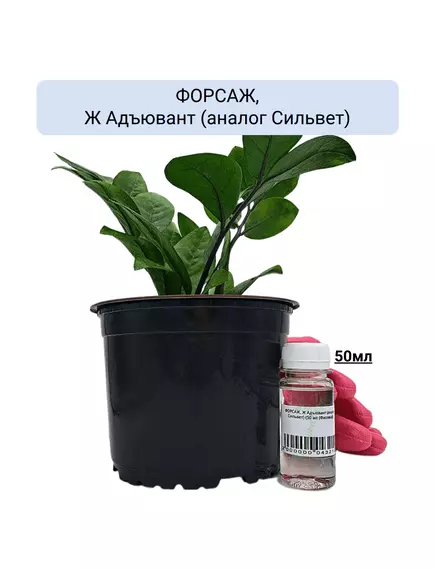 ФОРСАЖ, Ж Адъювант (аналог Сильвет)
