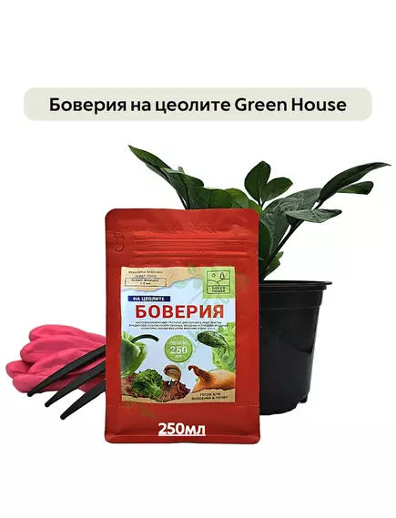 Боверия на цеолите GREEN HOUSE