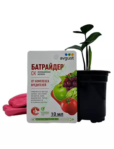 Батрайдер