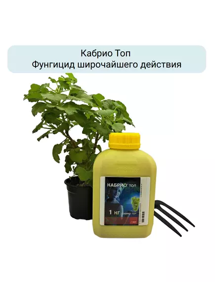 Кабрио Топ Фунгицид широчайшего действия