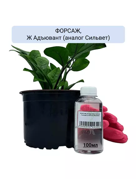 ФОРСАЖ, Ж Адъювант (аналог Сильвет)