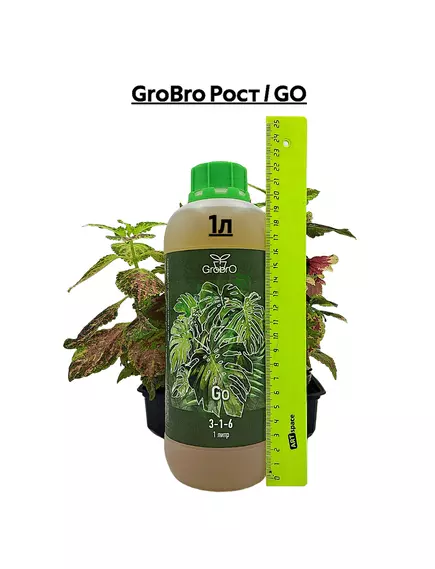 GROBRO Рост / GO