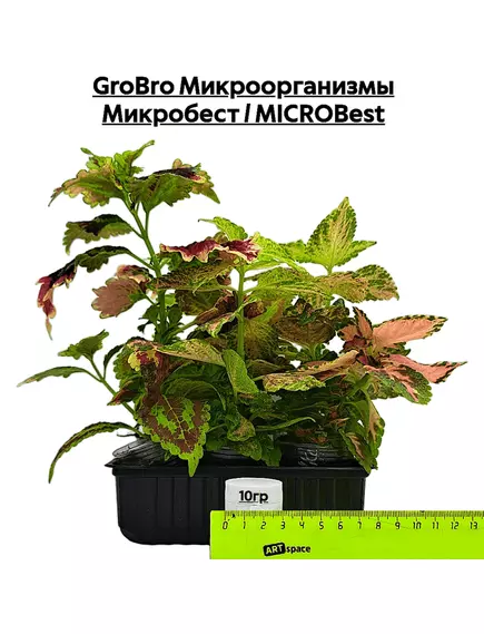 GROBRO Микроорганизмы Микробест / MICROBEST