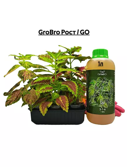 GROBRO Рост / GO