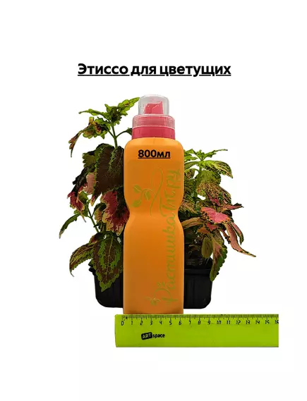Этиссо для цветущих