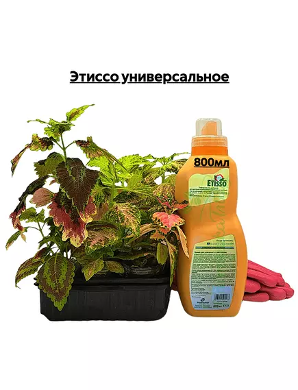 Этиссо универсальное