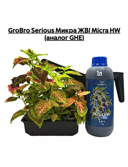 GROBRO SERIOUS Микра ЖВ/ MICRA HW (аналог GHE)