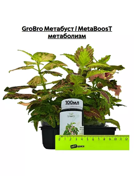 GROBRO Метабуст / METABOOST метаболизм