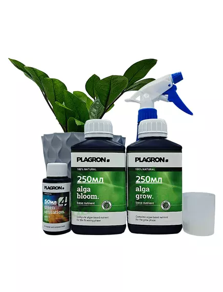 PLAGRON EASY PACK 100% NATURAL