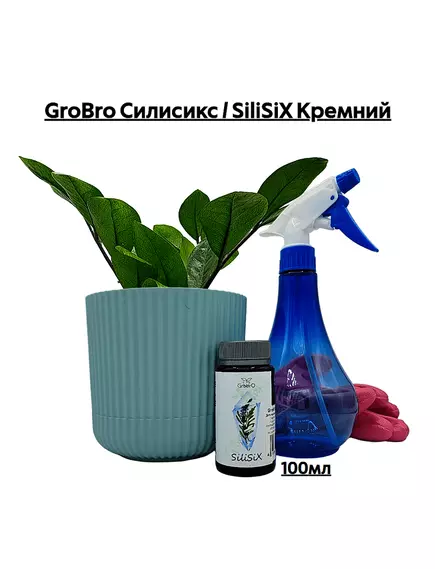 GROBRO Силисикс / SILISIX Кремний