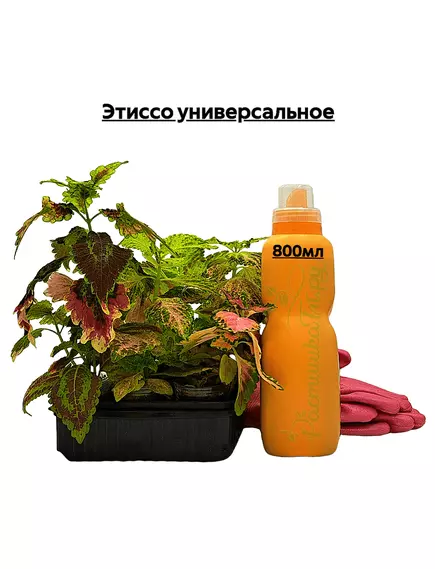 Этиссо универсальное
