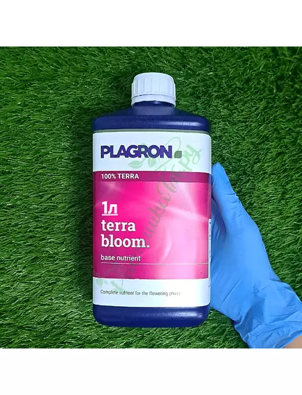 PLAGRON TOP GROW BOX 100% TERRA