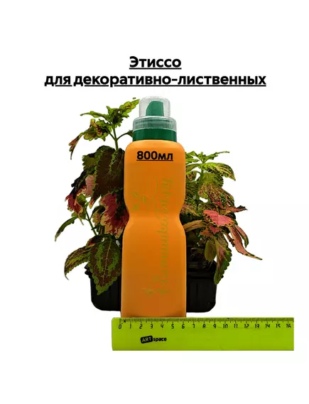 Этиссо для декоративно-лиственных