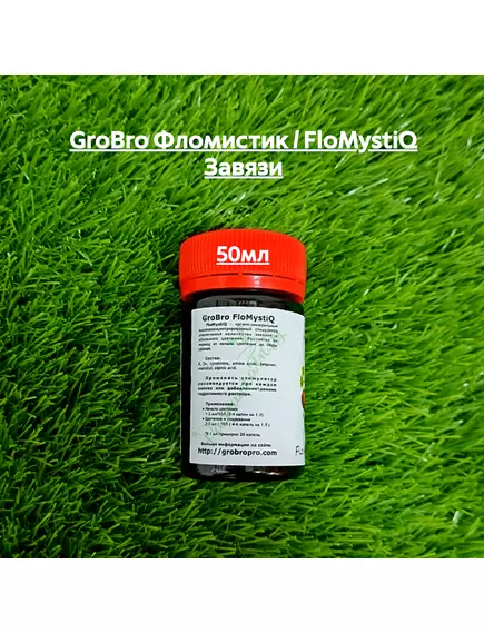 GROBRO Фломистик / FLOMYSTIQ Завязи