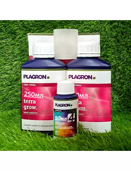 PLAGRON EASY PACK 100% TERRA