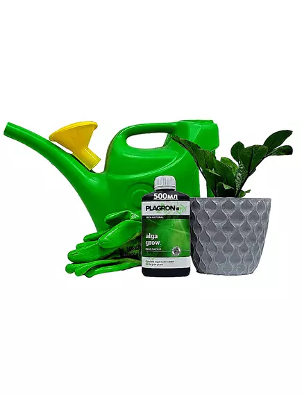 PLAGRON ALGA GROW 500 мл