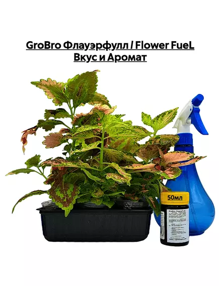 GROBRO Флауэрфулл / FLOWER FUEL Вкус и Аромат