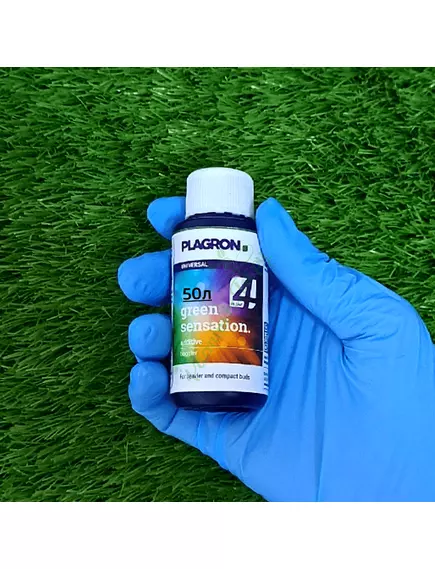 PLAGRON EASY PACK 100% NATURAL