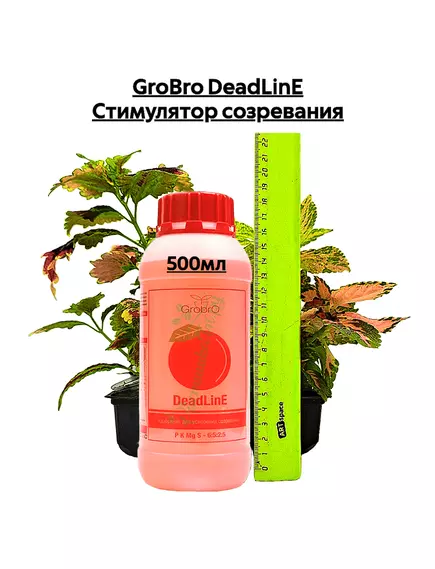 GROBRO DEADLINE Стимулятор созревания