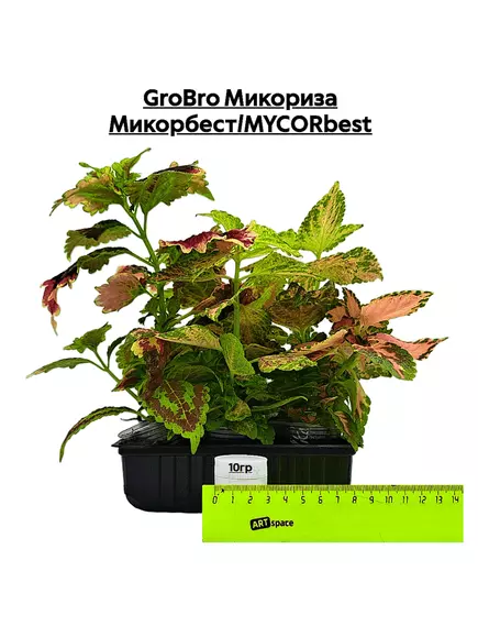 GROBRO Микориза Микорбест/MYCORBEST