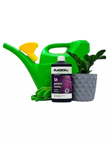 PLAGRON POWER ROOTS Органический стимулятор корнеобразования 1 л