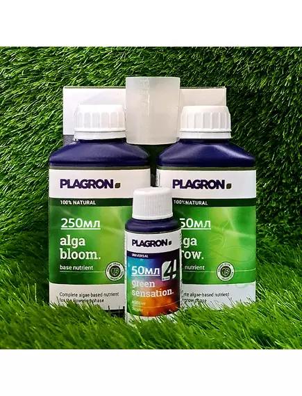 PLAGRON EASY PACK 100% NATURAL