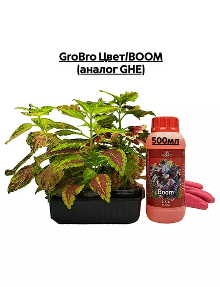 GROBRO Цвет/BOOM (аналог GHE)