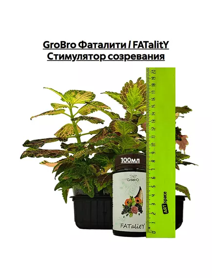 GROBRO Фаталити / FATALITY Стимулятор созревания