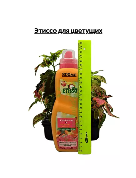 Этиссо для цветущих