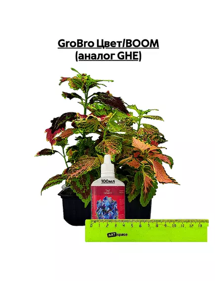 GROBRO Цвет/BOOM (аналог GHE)
