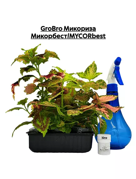 GROBRO Микориза Микорбест/MYCORBEST
