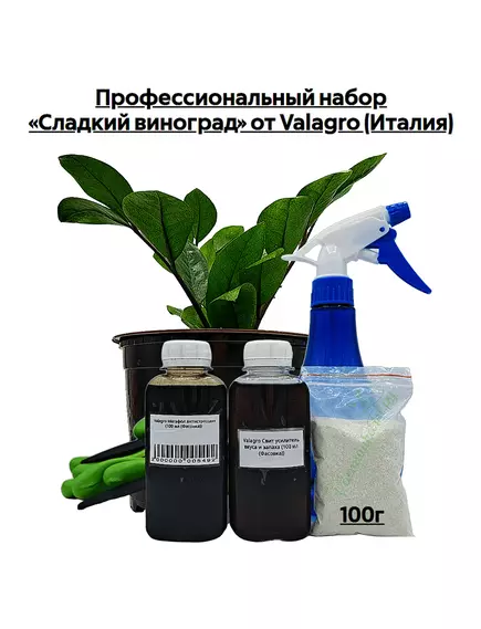 Профессиональный набор «Сладкий виноград» от VALAGRO (Италия)