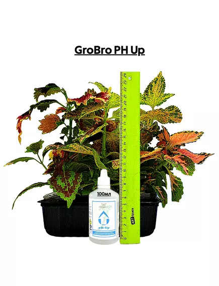 GROBRO PH UP 100 мл