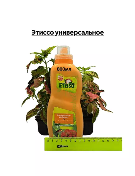 Этиссо универсальное