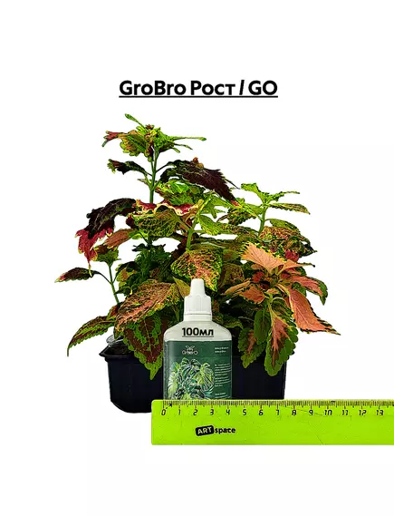 GROBRO Рост / GO