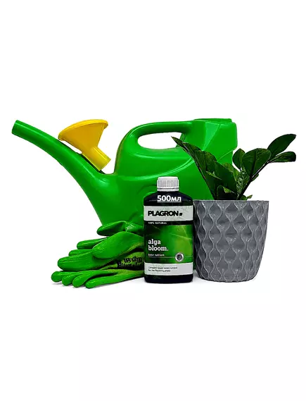 PLAGRON ALGA BLOOM 500 мл
