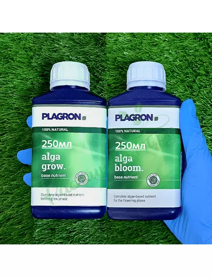 PLAGRON EASY PACK 100% NATURAL