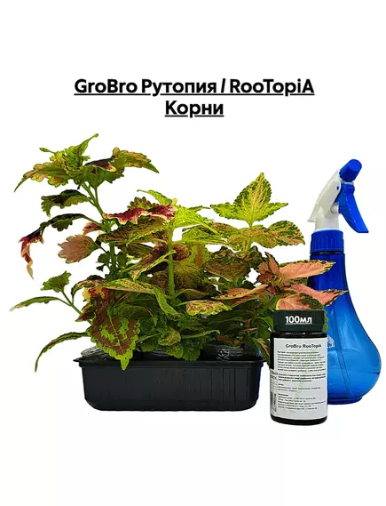 GROBRO Рутопия / ROOTOPIA Корни
