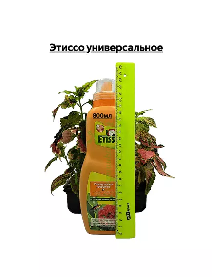 Этиссо универсальное