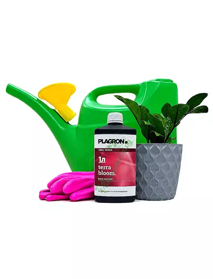 PLAGRON TERRA BLOOM 1 л
