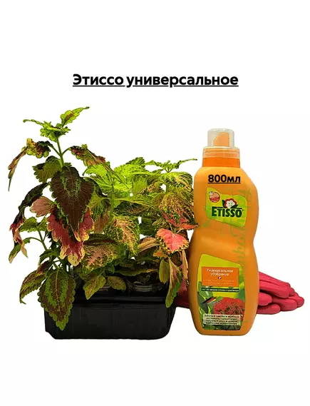 Этиссо универсальное