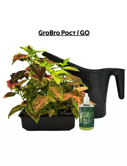 GROBRO Рост / GO