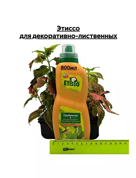 Этиссо для декоративно-лиственных