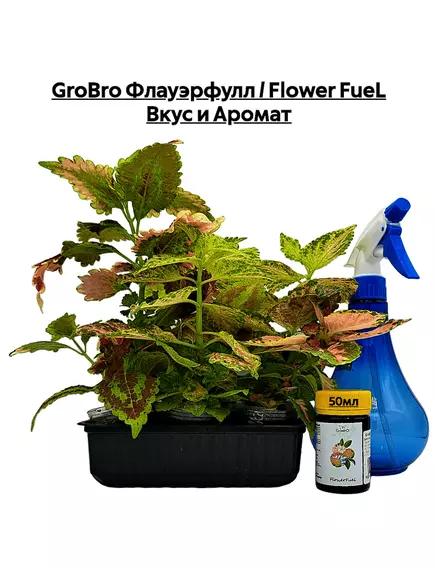 GROBRO Флауэрфулл / FLOWER FUEL Вкус и Аромат