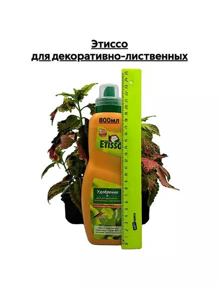 Этиссо для декоративно-лиственных