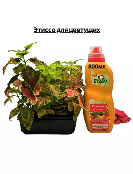 Этиссо для цветущих
