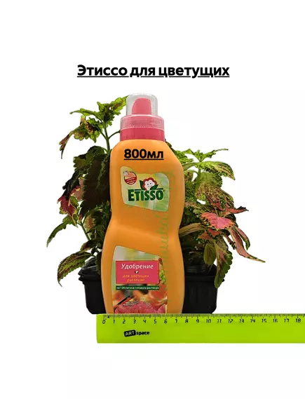 Этиссо для цветущих