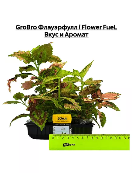 GROBRO Флауэрфулл / FLOWER FUEL Вкус и Аромат